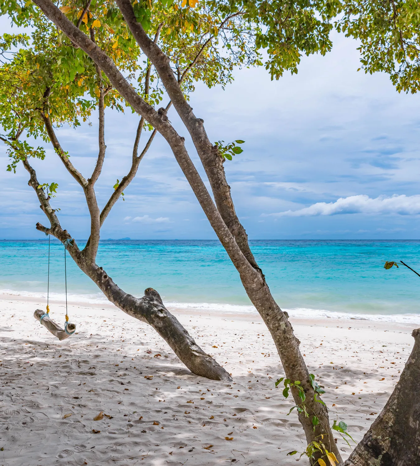 White sand and turquoise sea beneath the trees on Rok Island