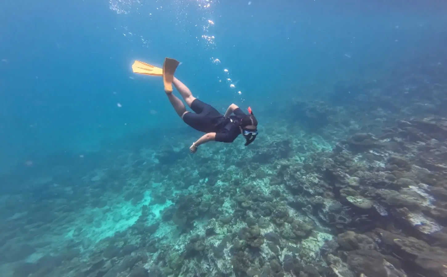 Snorkeler exploring a coral reef in clear blue water